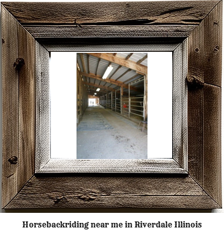 horseback riding near me in Riverdale, Illinois